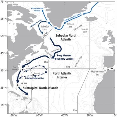 The interior spreading story of Labrador Sea Water